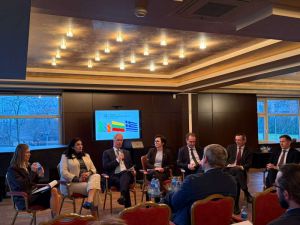 Іванна Климпуш-Цинцадзе: Внутрішні реформи в ЄС та реформи в країнах-кандидатах мають відбуватися одночасно